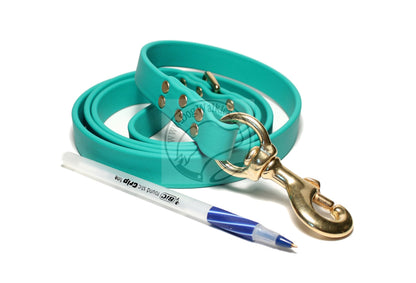 Teal Biothane Large Dog Leash
