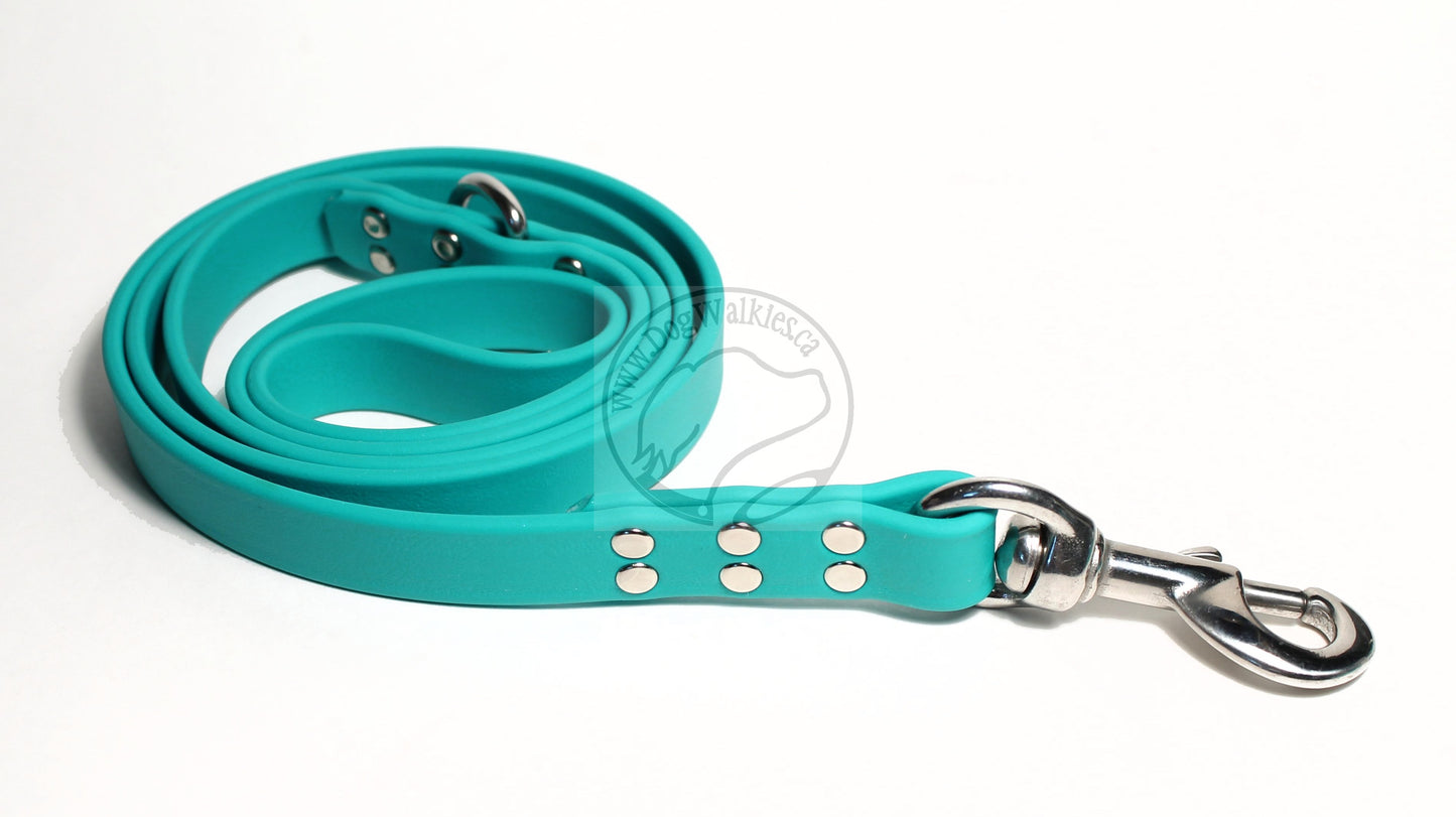 Teal Biothane Large Dog Leash