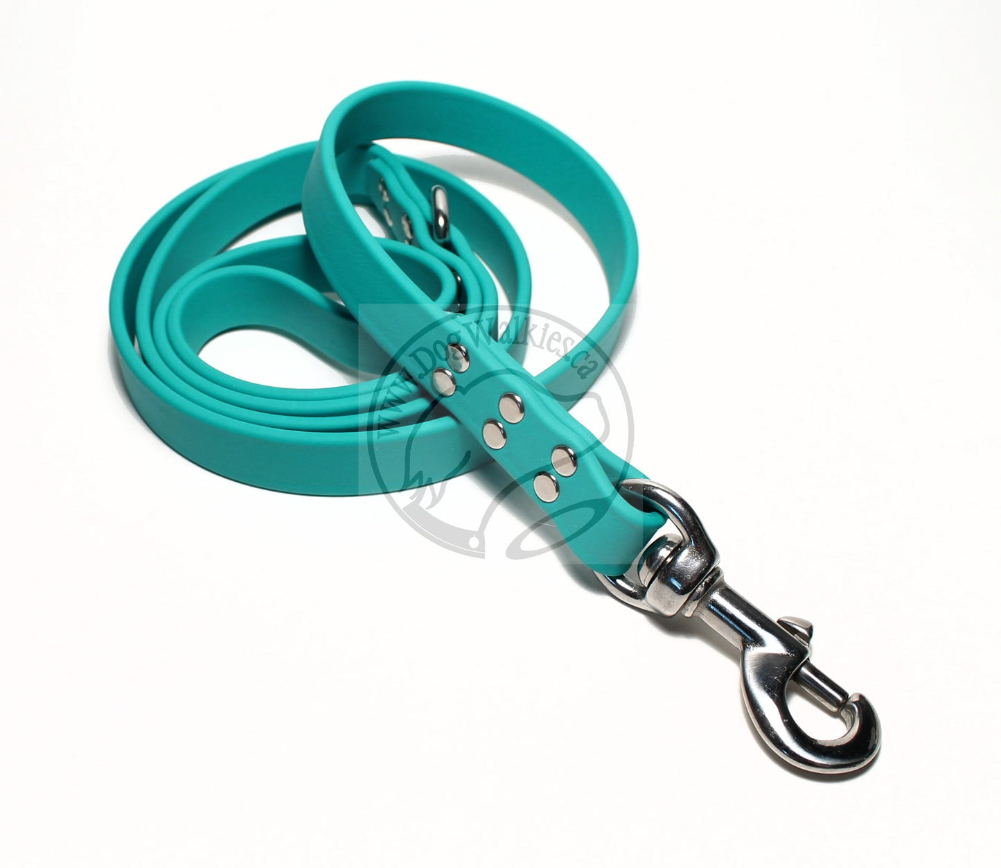 Teal Biothane Large Dog Leash