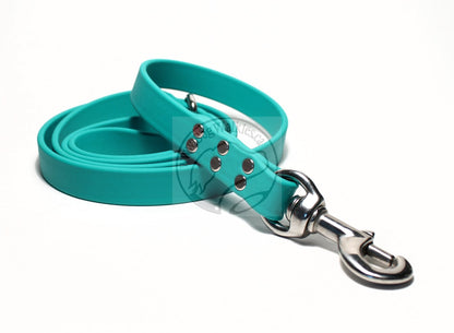 Teal Biothane Large Dog Leash