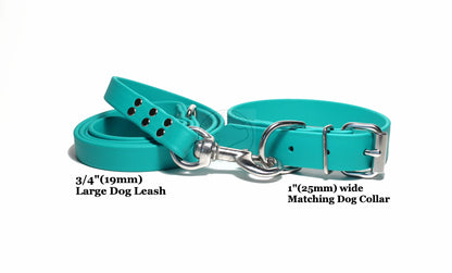 Teal Biothane Large Dog Leash
