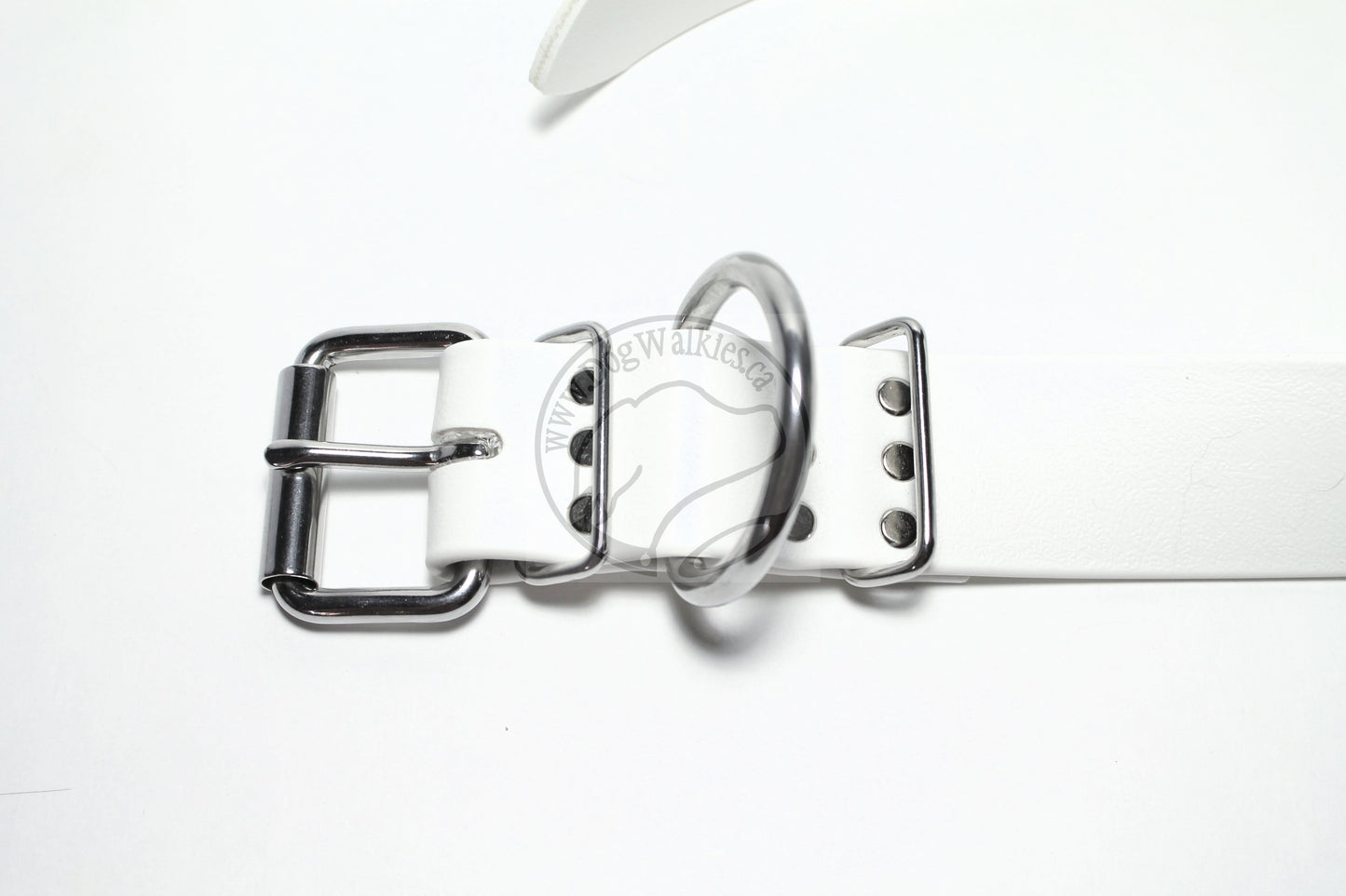Snow White Biothane Dog Collar - Extra Wide - 1.5 inch (38mm) wide