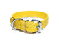 Sunflower Yellow Biothane Dog Collar - 1 inch (25mm) wide