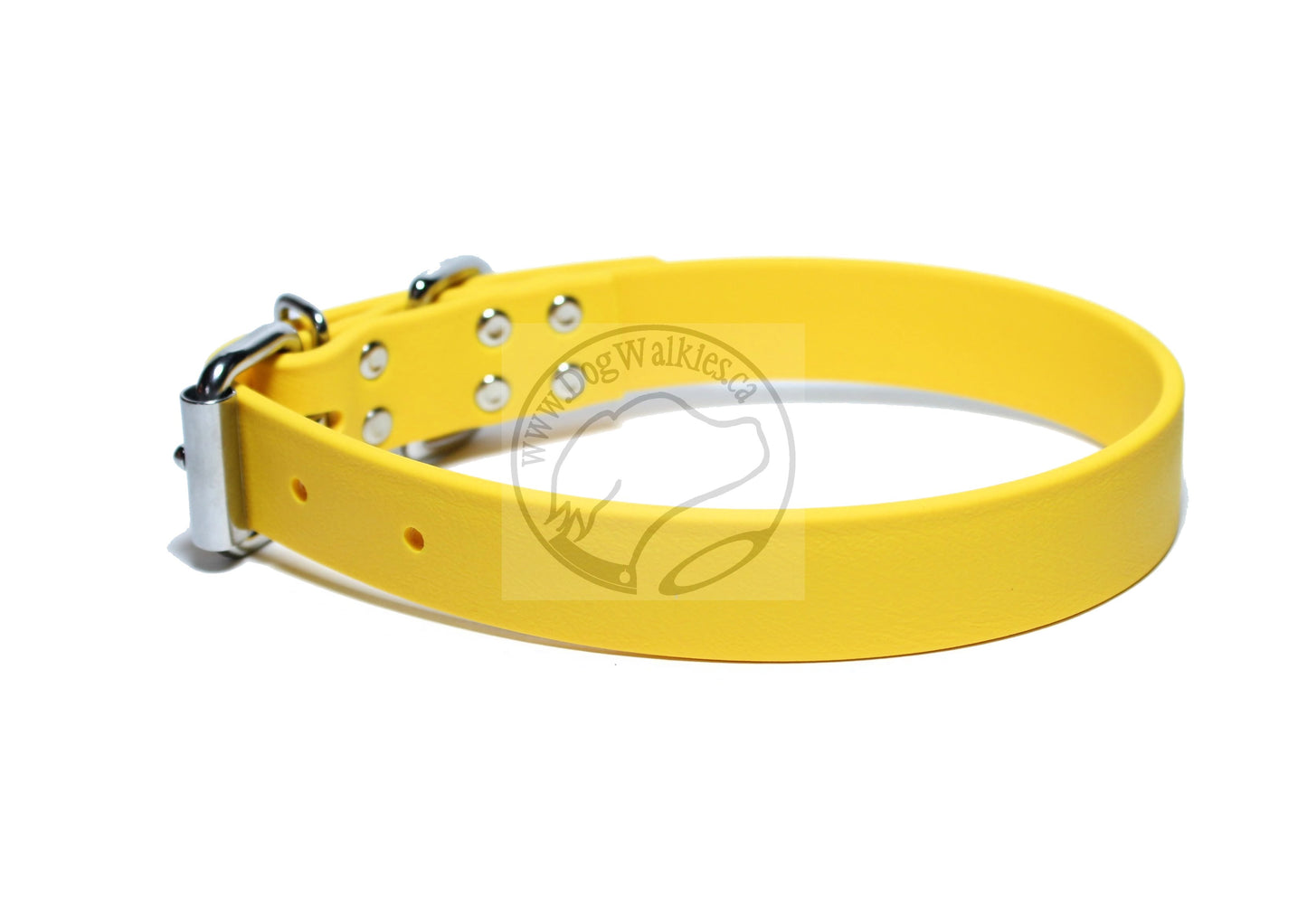 Sunflower Yellow Biothane Dog Collar - 1 inch (25mm) wide