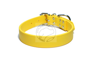 Sunflower Yellow Biothane Dog Collar - 1 inch (25mm) wide