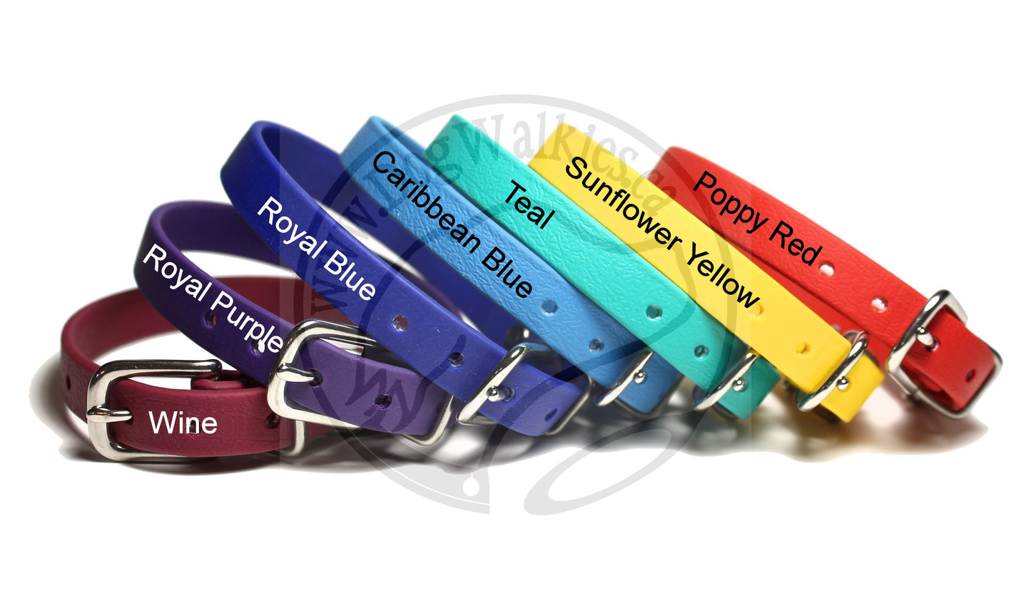 Cat Collar Non-Breakaway Biothane Collar - 1/2" (12mm) wide - all 39 colours