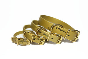 Gold Biothane Dog Collar - 1 inch (25mm) wide