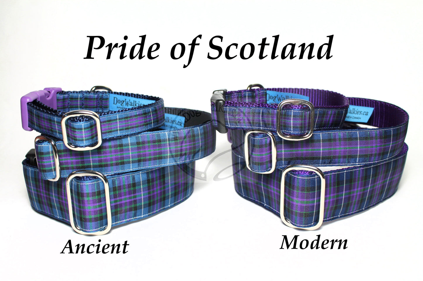 Pride of Scotland Ancient tartan - dog collar