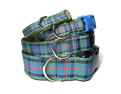 Flower of Scotland tartan - dog collar