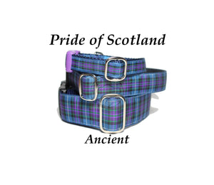 Pride of Scotland Ancient tartan - dog collar