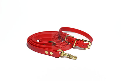Poppy Red Biothane Small Dog Collar - 1/2" (12mm) wide