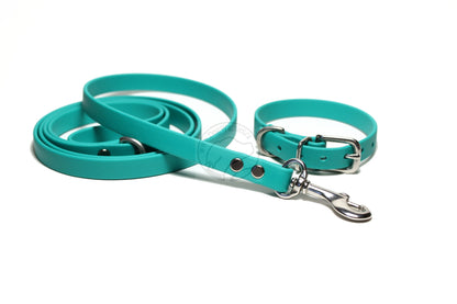 Teal Biothane Small Dog Leash