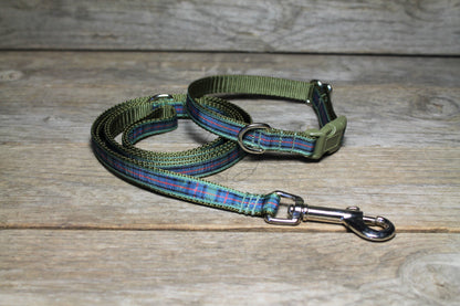 Flower of Scotland tartan - dog collar