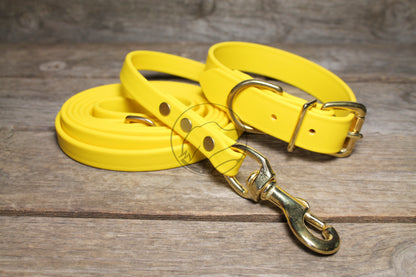 Sunflower Yellow Biothane Dog Leash - Regular 16mm (5/8") width