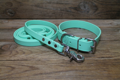 Sea Foam Pastel Green Biothane Dog Leash - Regular 16mm (5/8") width