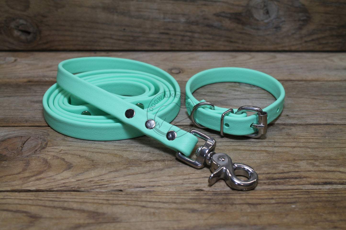 Sea Foam Pastel Green Biothane Dog Leash - Regular 16mm (5/8") width