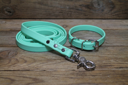 Sea Foam Pastel Green Biothane Dog Leash - Regular 16mm (5/8") width