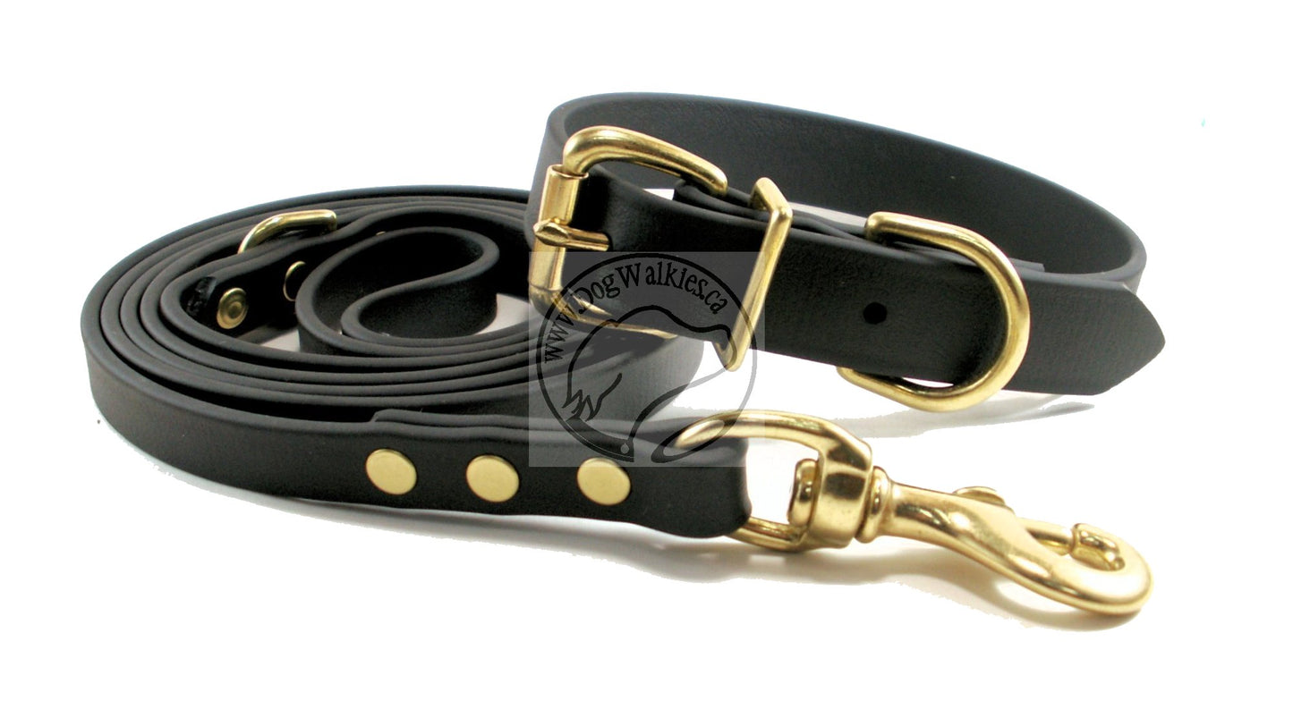 Jet Black Biothane Dog Leash - Regular 16mm (5/8") width