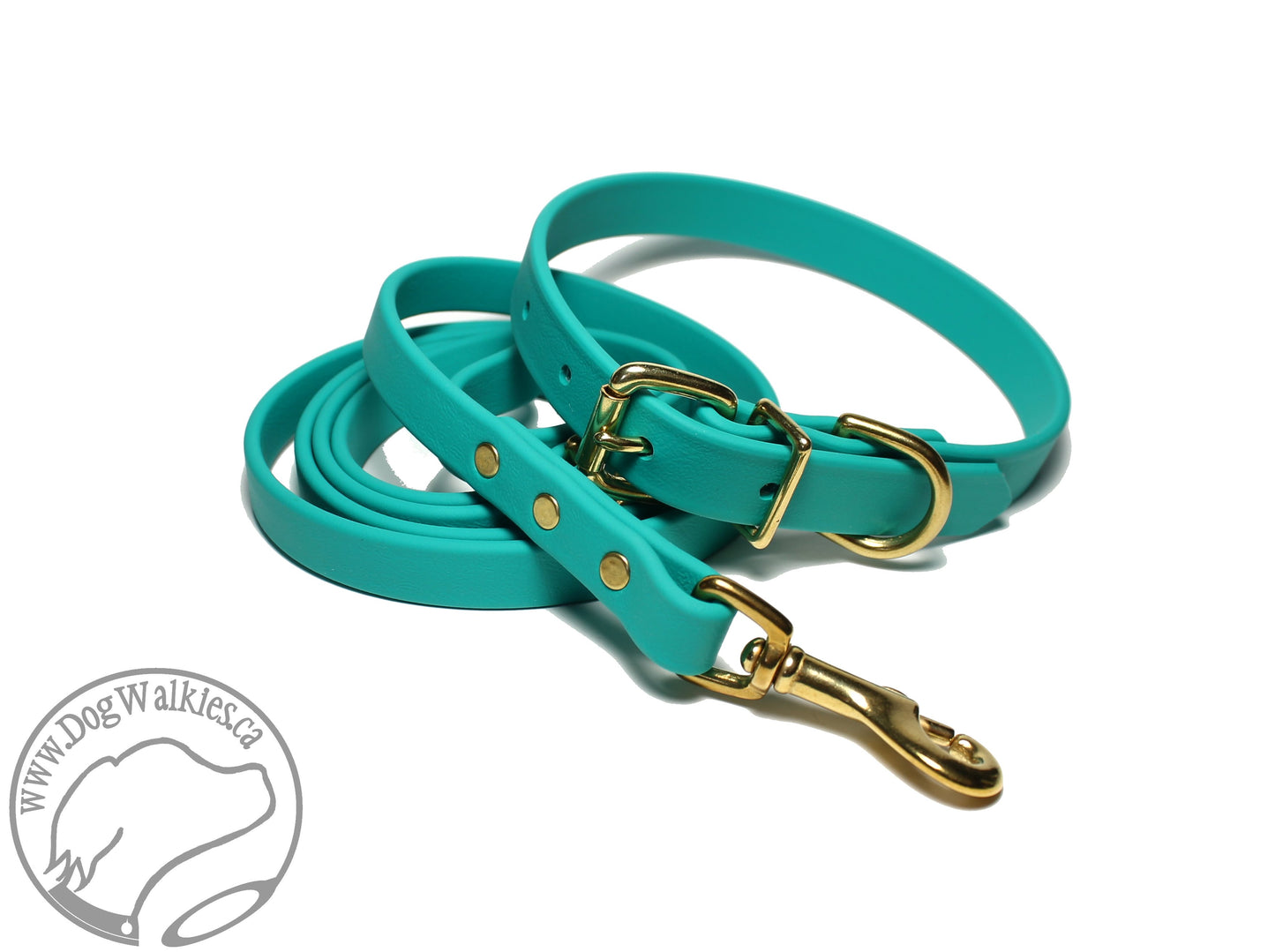 Teal Biothane Dog Leash - Regular 16mm (5/8") width