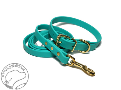Teal Biothane Dog Leash - Regular 16mm (5/8") width