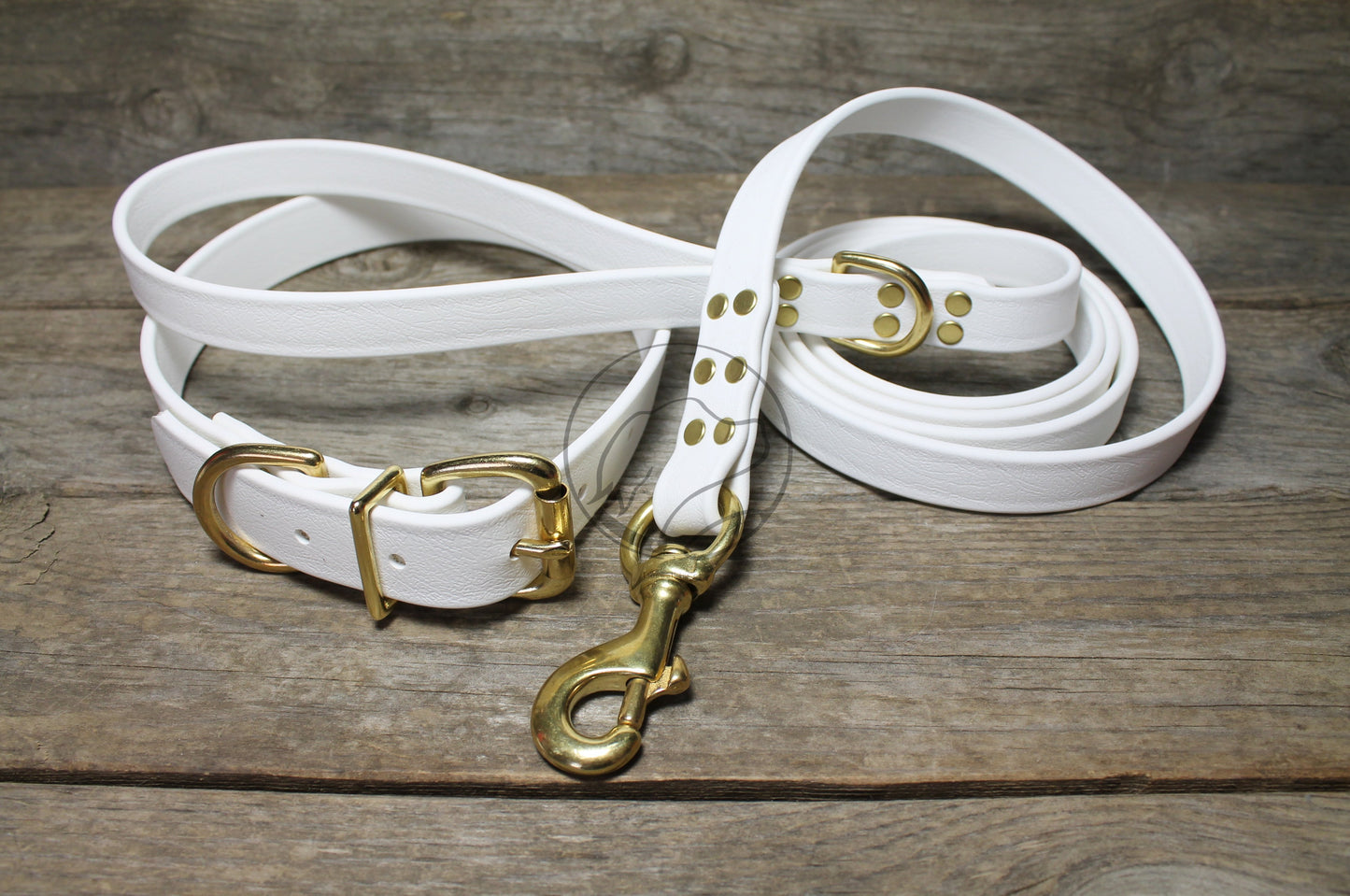 Snow White Biothane Large Dog Leash