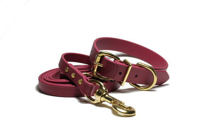Wine Merlot Biothane Dog Leash - Regular 16mm (5/8") width