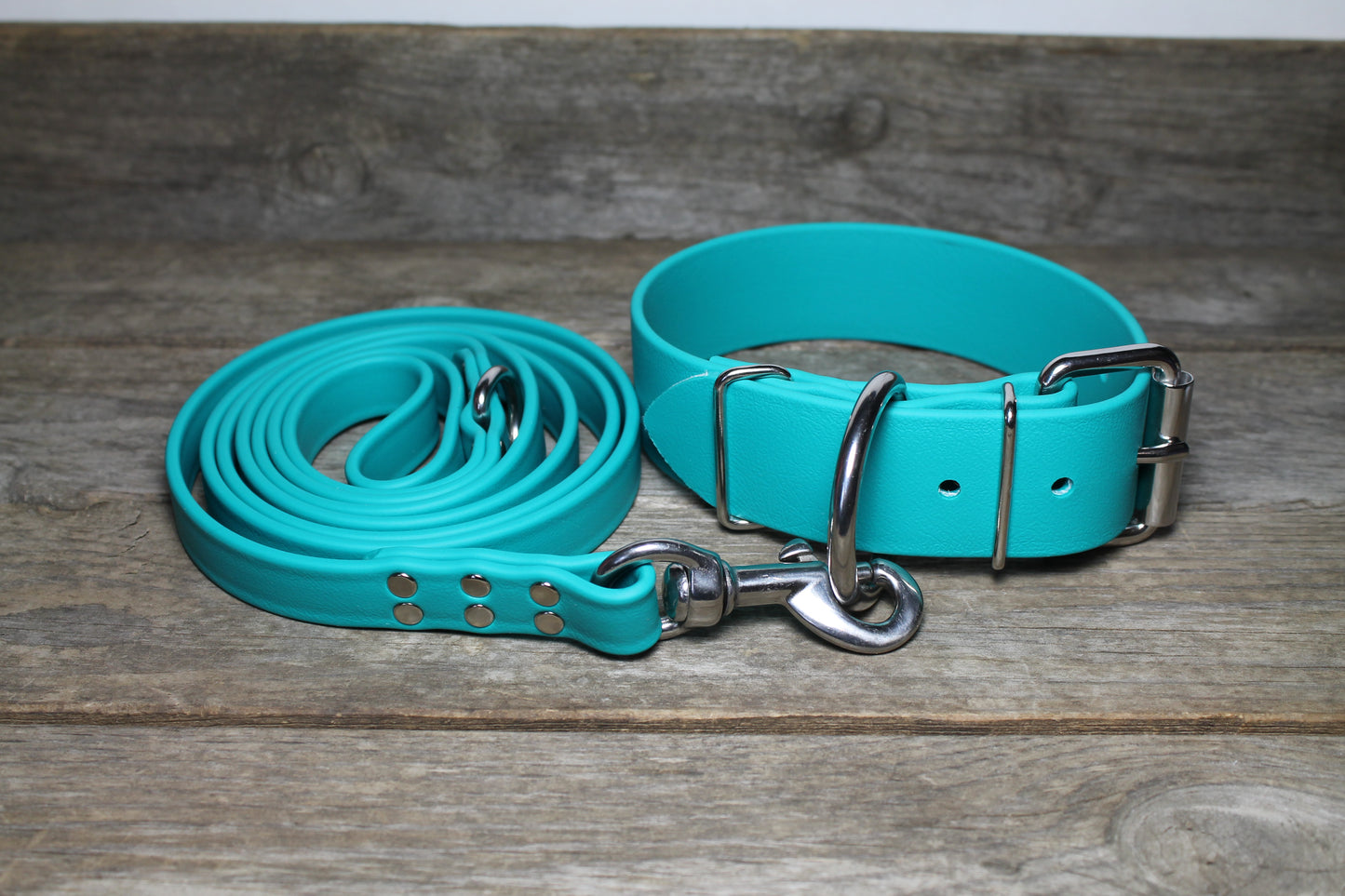 Teal Biothane Large Dog Leash