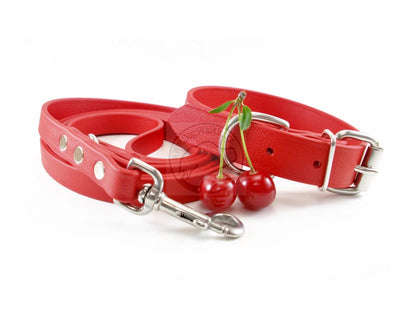 Poppy Red Biothane Dog Leash - Regular 16mm (5/8") width