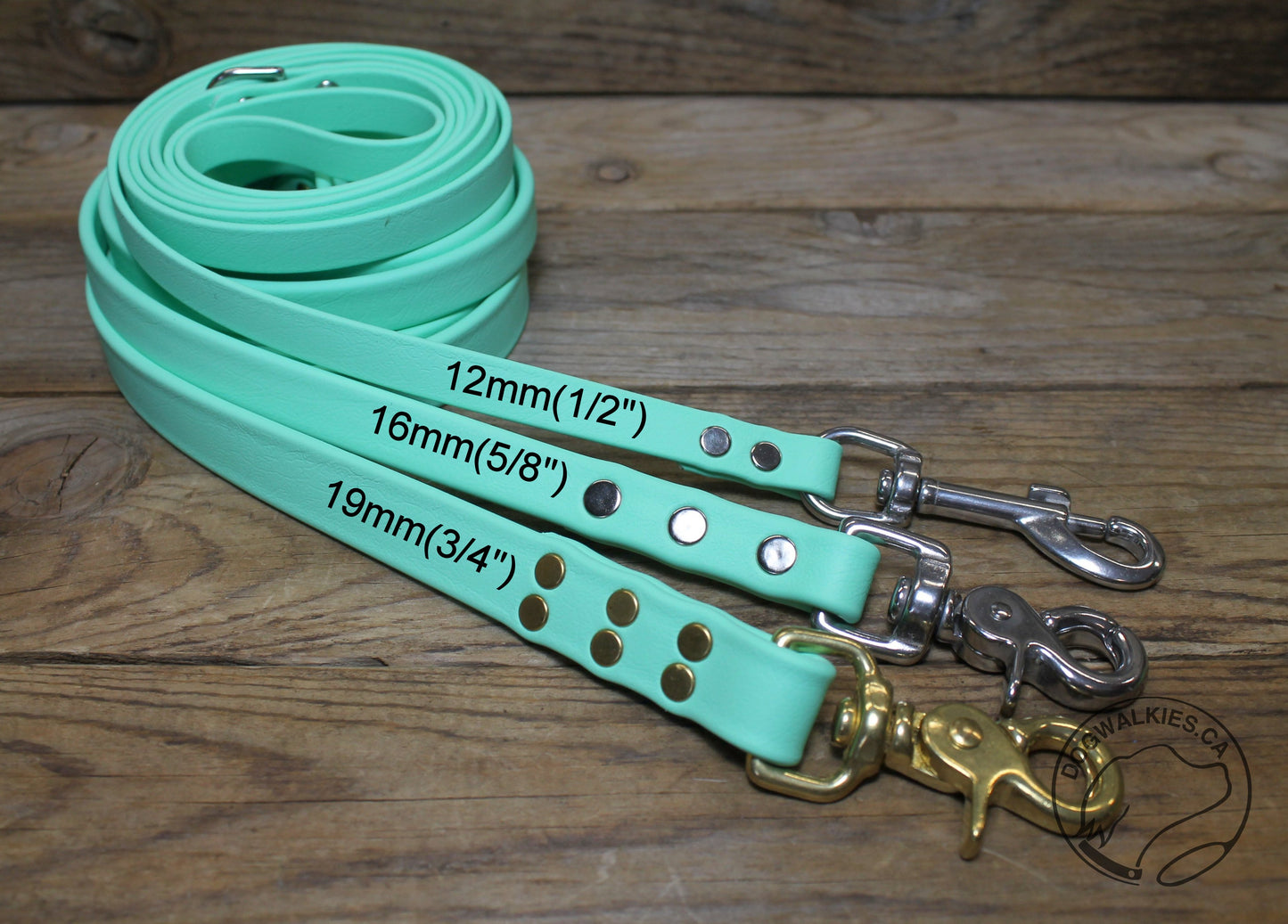 Sea Foam Pastel Green Biothane Dog Leash - Regular 16mm (5/8") width